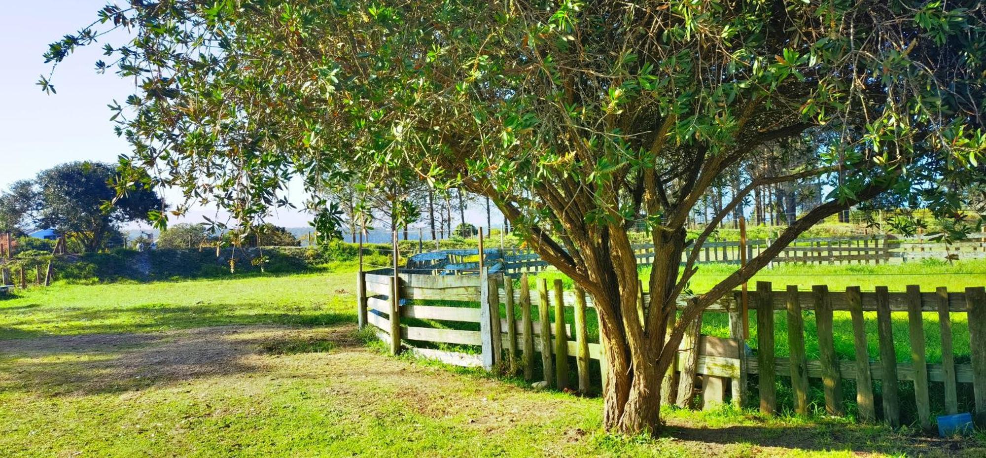 Moonsong Accommodation & Camping Plettenberg Bay Exterior foto