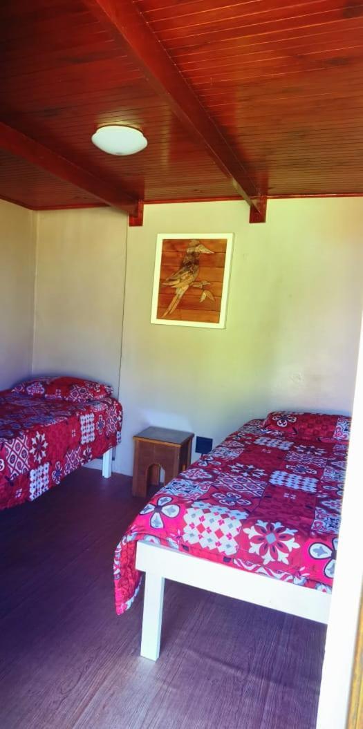 Moonsong Accommodation & Camping Plettenberg Bay Exterior foto